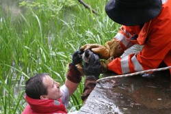 Tierrettung