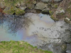 Gewässerverschmutzung Ländenbach